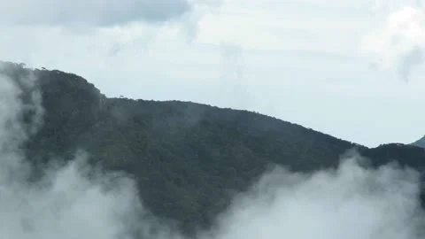 Creating of clouds by mist in a mountain of the Horton Plains cloud forest. Stock Footage 161438230