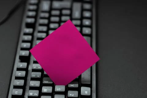 Creating Computer Programming Services, Typing New Worksheet Data, Safe Website Stock Photos