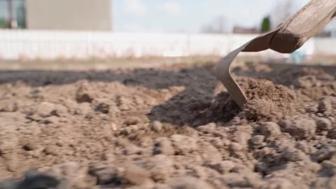 Creating deep rows with a flat cutter in the garden soil before planting, close Stock Footage 306065947