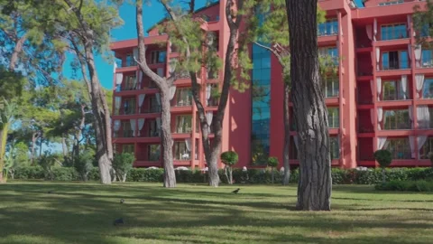 Creating the feeling of approaching paradise Stock Footage 322513074