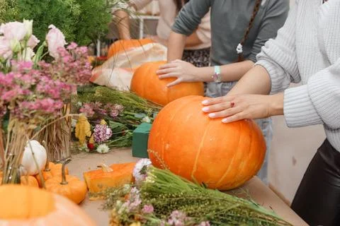 Creating a floral composition in a pumpkin. Making decor with your own hands. Stock Photos