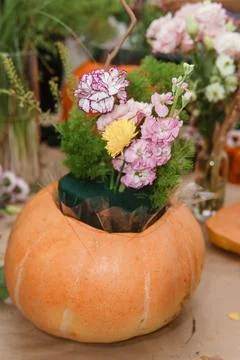 Creating a floral composition in a pumpkin. Making decor with your own hands. Stock Photos