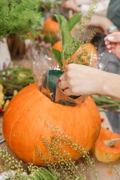 Creating a floral composition in a pumpkin. Making decor with your own hands. Stock Photos