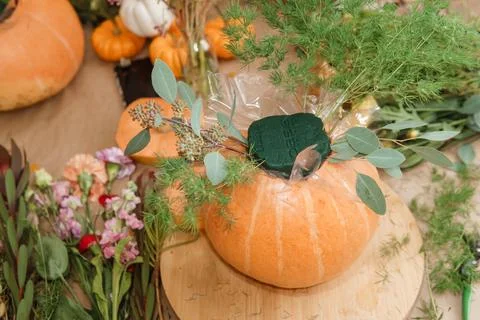 Creating a floral composition in a pumpkin. Making decor with your own hands. Foto stock