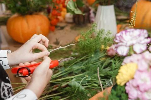 Creating a floral composition in a pumpkin. Making decor with your own hands. Stock Photos