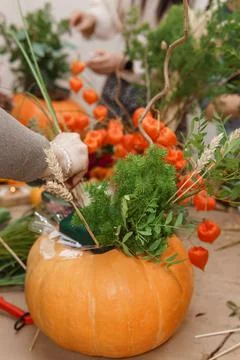 Creating a floral composition in a pumpkin. Making decor with your own hands. Foto stock