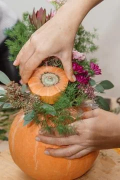 Creating a floral composition in a pumpkin. Making decor with your own hands. Stock Photos