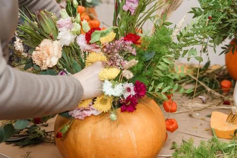 Creating a floral composition in a pumpkin. Making decor with your own hands. Stock Photos