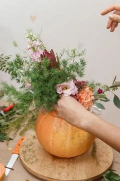 Creating a floral composition in a pumpkin. Making decor with your own hands. Stock Photos