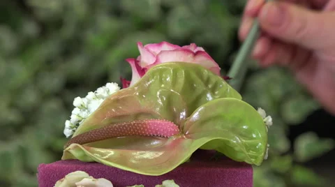 Creating a flower arrangement shaped as a cake Video stock 56879389