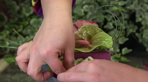 Creating a flower arrangement shaped as a cake Video stock 56880851