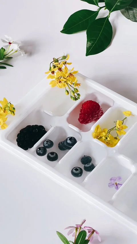 Creating flower ice cubes, putting flowers, fruit, ice cube tray, Stock Footage 278490759
