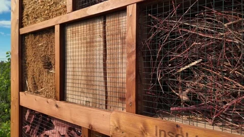 Creating a Unique Insect Hotel Using Natural Materials in a Garden Stock Footage 287900321