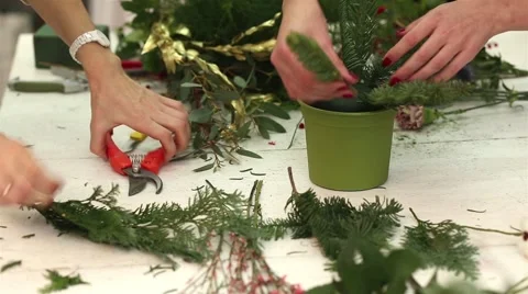 Creating a wonderful composition of cotton, cones, fir, magical variety Stock Footage 58888754