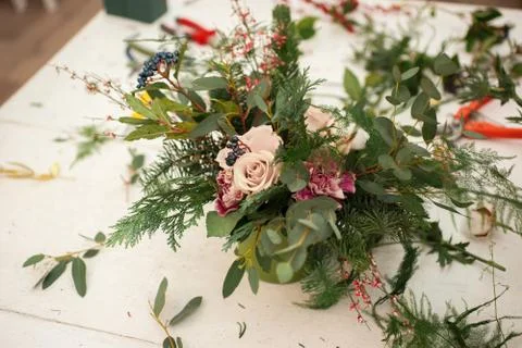 Creating a wonderful composition cotton, cones, fir, magical variety carnations Stock-Fotos