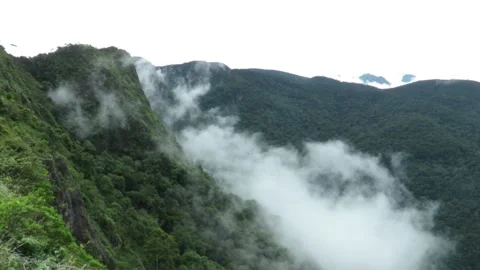 Creation of clouds by mist in a cloud forest/ rain forest Stock Footage 161438068