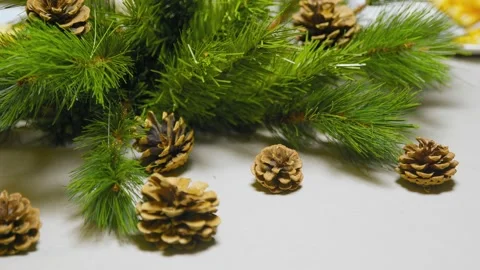 Creation of a desktop New Year's composition. Composition from branches of a Stock Footage 167238749