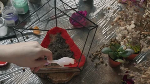 Creation of a florarium. the stage of creating the earth from multicolored sand Stock Footage 275624052
