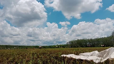 Creation of God Stock Footage 236271185