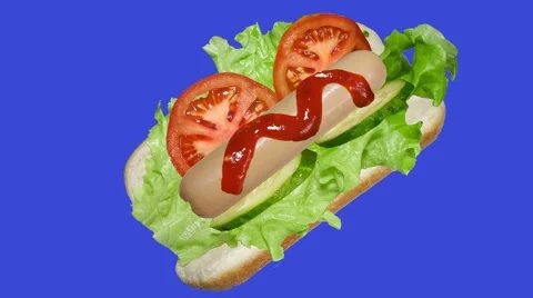 Creation of hot dog on blue screen Stock Footage 61105729