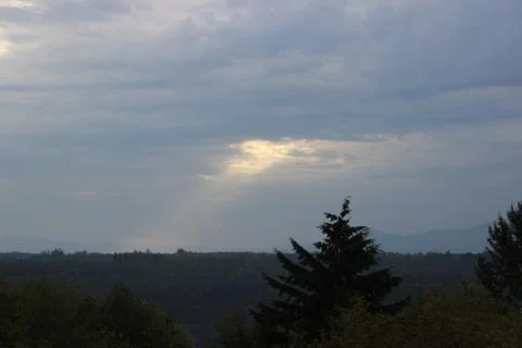 Since the creation Stock Photos