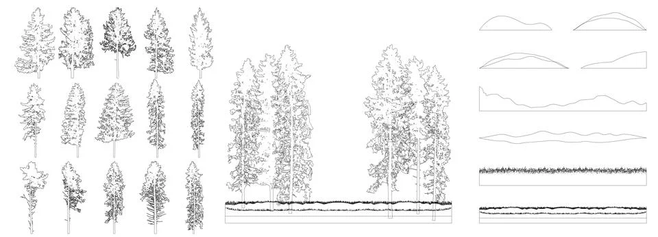 Creation of realistic forest, set of contours of beautiful spruce and pines.. Stock Illustration