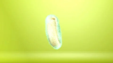 Creative 3D bagel model in neon shades, bright lime green. Stock Footage 231114027