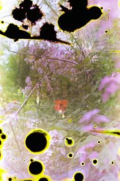 Creative Abstract Experimental with Unexpected Patterns 写真素材