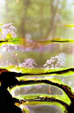 Creative Abstract Experimental with Unexpected Patterns 写真素材