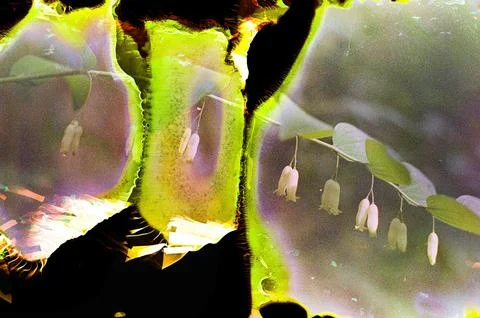 Creative Abstract Experimental with Unexpected Patterns 写真素材