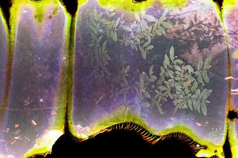 Creative Abstract Experimental with Unexpected Patterns 写真素材