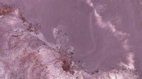 Creative abstract piece using alcohol ink in purple tones with marbling effects Foto stock