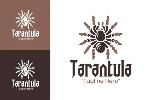 Creative Abstract Tarantula Logo Featuring Geometric Brown Spider Elements Illustrazione stock