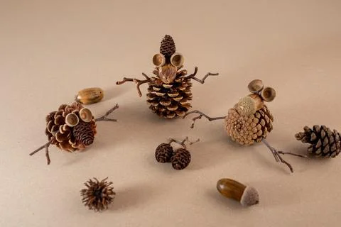 A creative arrangement of natural elements on a plain background. There are.. Foto stock