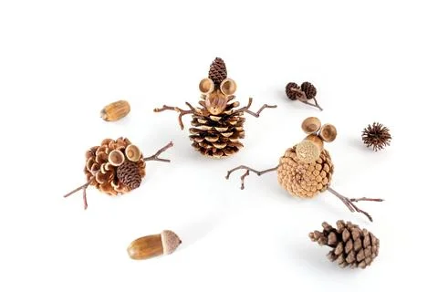 A creative arrangement of natural elements on a white background. There are.. Stock Photos