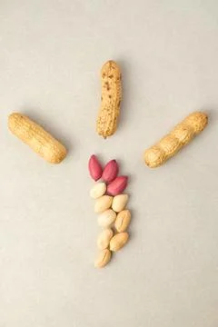 Creative arrangement of peanuts in an artistic display on a neutral background Foto stock