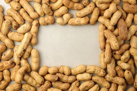 Creative arrangement of roasted peanuts creating a natural frame for art 库存照片