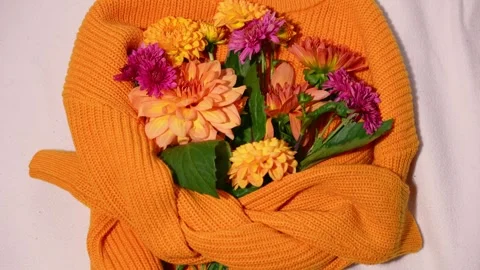 Creative arrangement in yellow sweater Selective focus Bush of autumnal orange Stock Footage 316067147