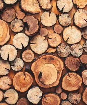 Creative art background, wall with different stacked a wooden sawn logs as ho Stock Photos