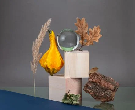 Creative art installation of wooden elements and dried flowers on a natural t Stock Photos