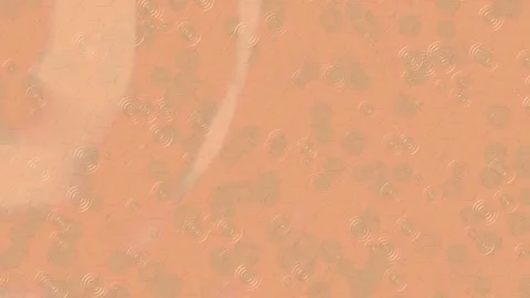 Creative Artistic Backdrop Smooth Loop Stock Footage 328670350