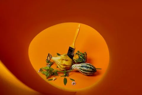 Creative autumn composition with different decorative pumpkins Fotos de archivo