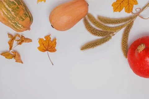 Creative autumn composition with pumpkins and dry leaves on white background Stock Photos