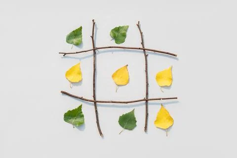 Creative autumn concept. Tic-tac-toe, noughts and crosses between summer and  Stock Photos