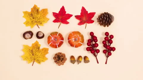 Creative autumn layout made of leaves and autumn fruits move. Stop motion Stock-Footage 157279530