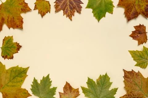 Creative autumn leaves background Stock Photos