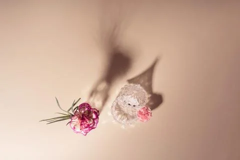 Creative background with bright flowers and green leaves with beautiful light. Stock Photos