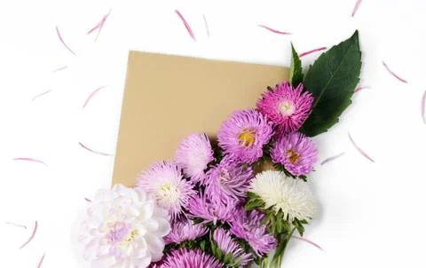Creative background with chrysanthemum and dahlia flowers. Floral border flat Stock Photos