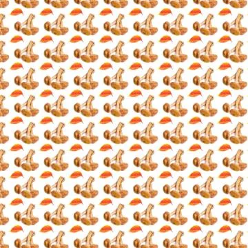 Creative background from forest mushrooms and leaves. Abstract background. Stock Photos