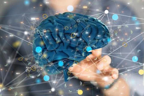 Creative background, the human brain on a blue background, the hemisphere Stock Photos